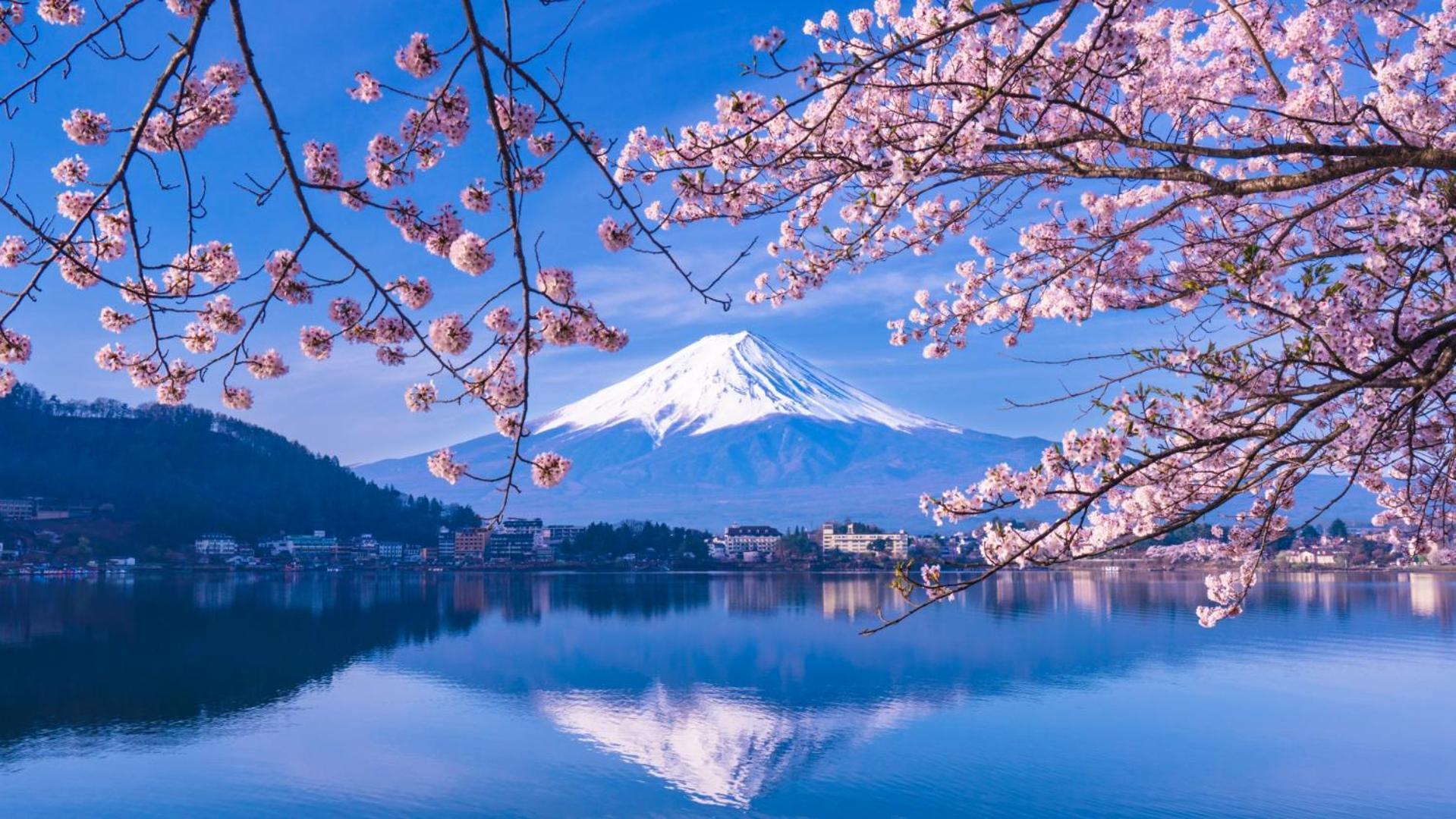 Mt Fuji Glamping Tourist Villa Kawaguchiko Фуджикавагучико Екстериор снимка