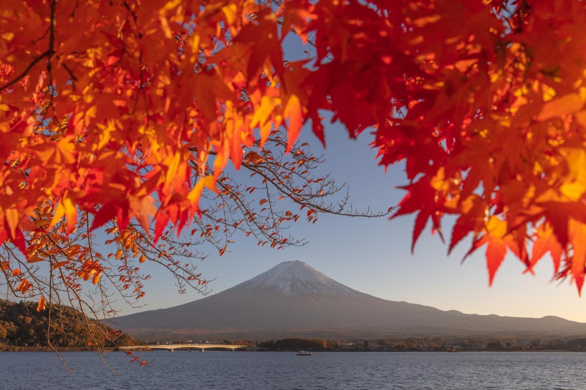 Mt Fuji Glamping Tourist Villa Kawaguchiko Фуджикавагучико Екстериор снимка