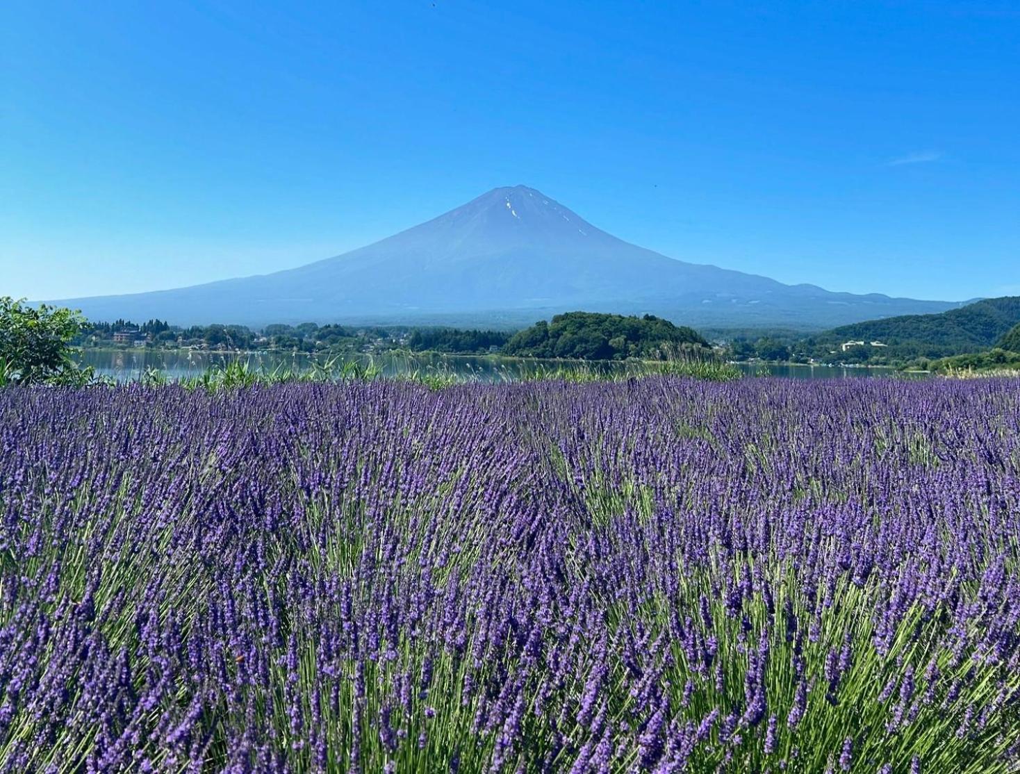 Mt Fuji Glamping Tourist Villa Kawaguchiko Фуджикавагучико Екстериор снимка